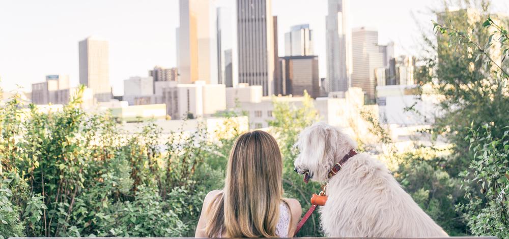 A woman sitting on a bench with her dog, overlooking a city skyline and green plants.