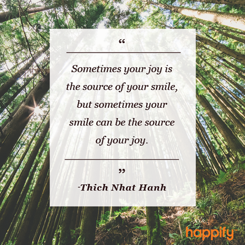 you-already-have-ready-access-to-this-source-of-joy-thich-nhat-hanh