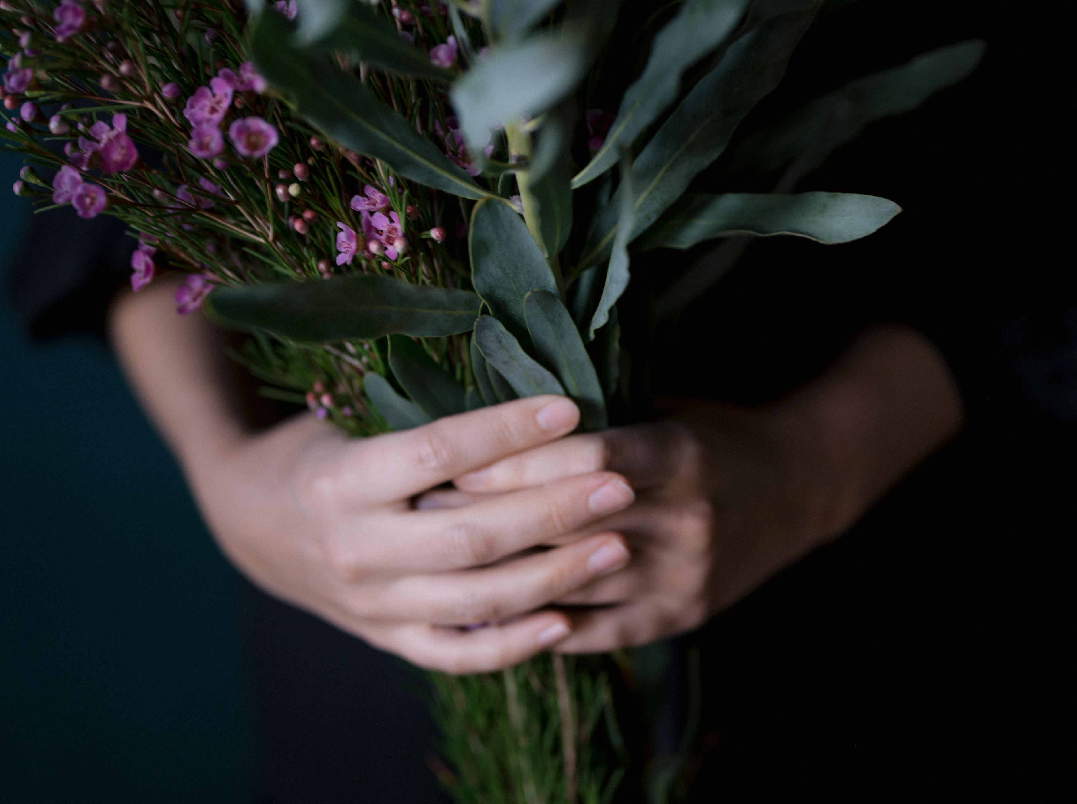 A Beginner's Guide to Gardens and Houseplants for Well-Being